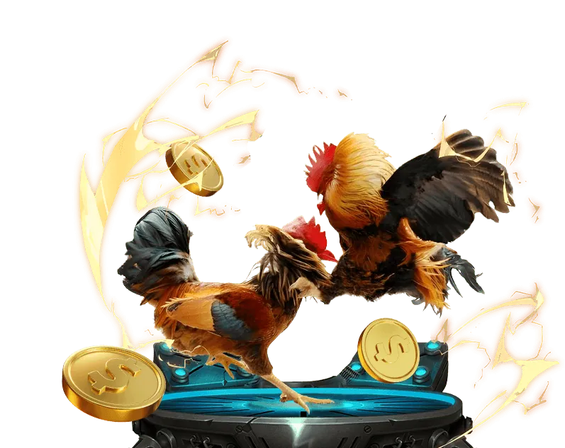 Đá gà cựa dao đầy thử thách tại Hi88 Bet